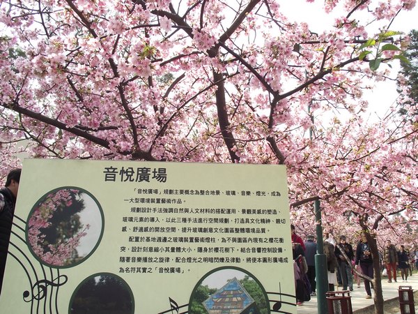 2015新竹櫻花祭(玻工館)