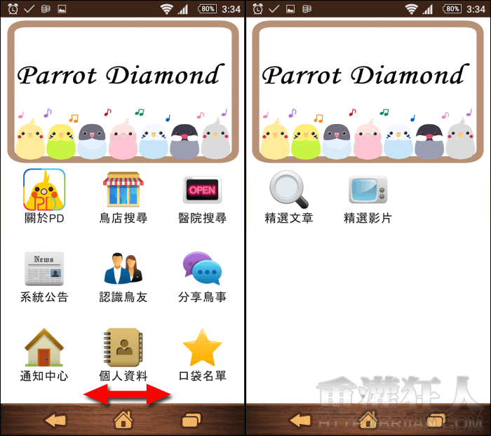 parrotdiamond_1