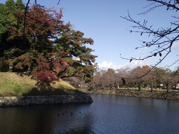 Day4 玄宮園 蝸牛壓花捲之重出江湖