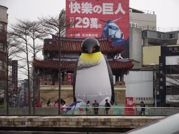 東門城看企鵝