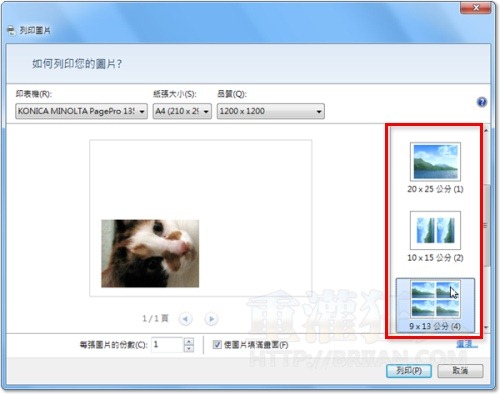 6-Paint.NET-免費繪圖軟體-中文版