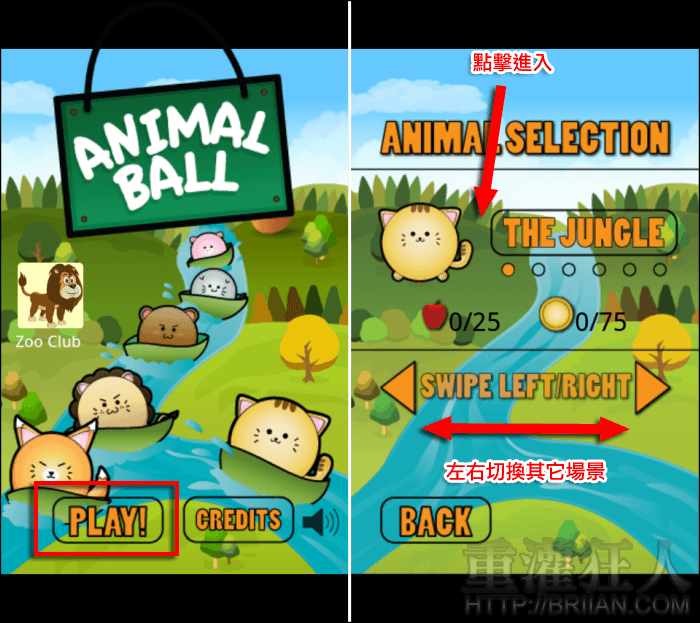 animalball_1