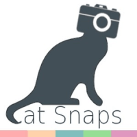[貓咪自拍]「Cat Snaps」自動捕捉貓大王的超囧照