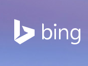 如何移除 Bing.com 搜尋引擎首頁的背景圖？