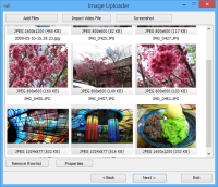 Image Uploader 批次貼圖上傳、影片抓圖上傳、螢幕擷取工具（支援 FTP 與 20 多個免費空間）
