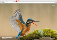 在 Google Chrome 新分頁顯示 Flickr 數萬張美圖！