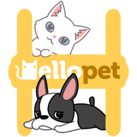 Hellopet 互動性超高的手機桌面寵物養成 App