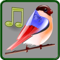 超自然催眠劑「鳥類的聲音」有 11 種純粹的鳥叫聲