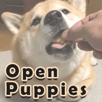 「OpenPuppies」一個讓人打開就會持續傻笑 10 分鐘以上的神奇網站