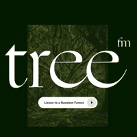 傾聽森林的聲音～「tree.fm」線上自然環境音播放器