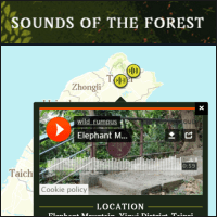 「Sounds of the Forest」聽聽來自世界各地的森林之聲