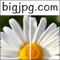 「Bigjpg」線上 AI 圖片放大工具，免費 4 倍放大畫質超棒！