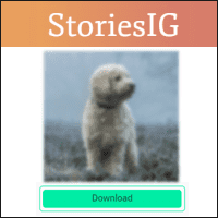 「StoriesIG」一鍵就能下載喜歡的 IG 照片、影片