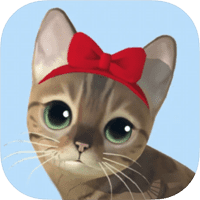 享受貓貓的呼喚～「貓咪度假村」超療癒放置型遊戲，多種貓咪、可愛度爆表！