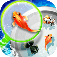 「正宗撈金魚」打發時間的小遊戲，體驗夜市撈金魚的樂趣！