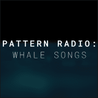 來聽聽鯨魚在海裡唱歌的聲音～「Pattern Radio：Whale Songs」