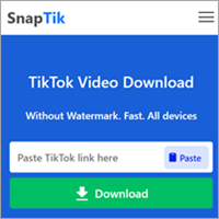 快速下載 TikTok 抖音上的影片（無抖音浮水印）
